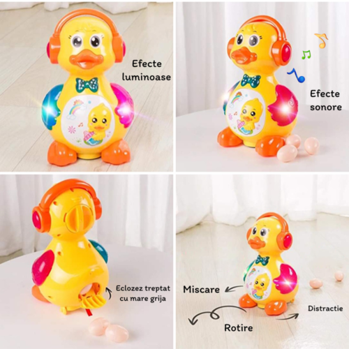 ⁦Laying Eggs Duck⁩ - الصورة ⁦5⁩
